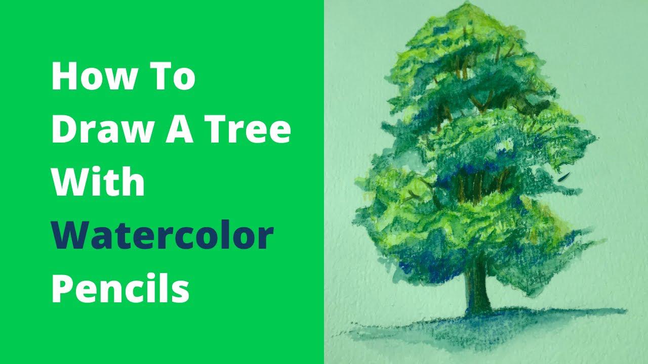 'Video thumbnail for How To Draw A Tree With Watercolor Pencils Step by Step'